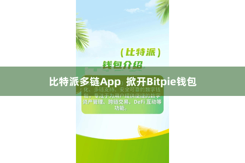 比特派多链App 掀开Bitpie钱包
