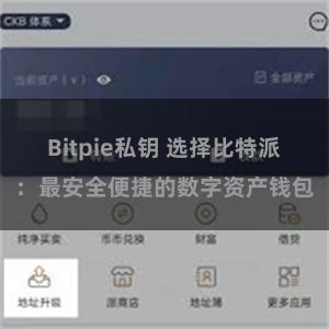 Bitpie私钥 选择比特派：最安全便捷的数字资产钱包