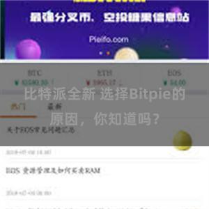 比特派全新 选择Bitpie的原因，你知道吗？