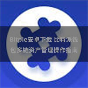 Bitpie安卓下载 比特派钱包多链资产管理操作指南