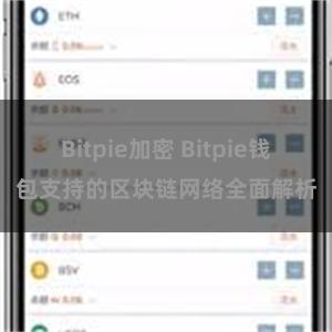 Bitpie加密 Bitpie钱包支持的区块链网络全面解析