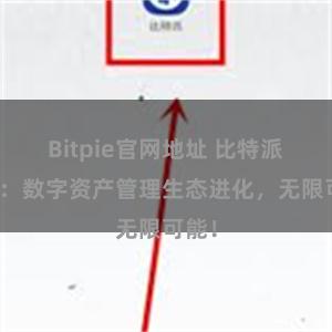Bitpie官网地址 比特派钱包：数字资产管理生态进化，无限可能！