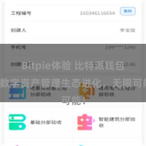 Bitpie体验 比特派钱包：数字资产管理生态进化，无限可能！