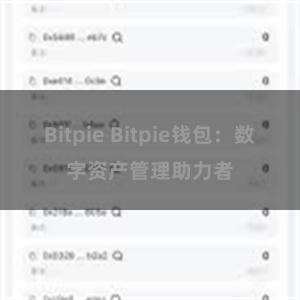 Bitpie Bitpie钱包：数字资产管理助力者