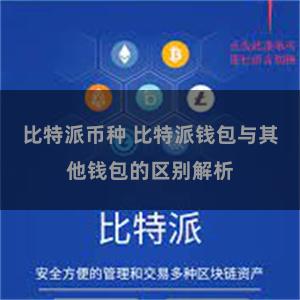 比特派币种 比特派钱包与其他钱包的区别解析