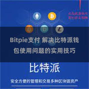 Bitpie支付 解决比特派钱包使用问题的实用技巧