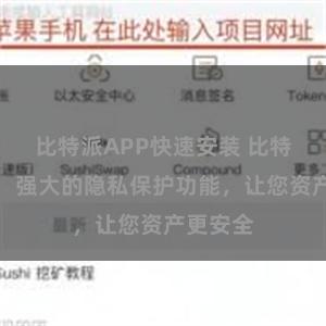 比特派APP快速安装 比特派钱包：强大的隐私保护功能，让您资产更安全