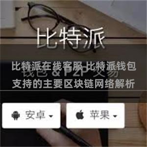 比特派在线客服 比特派钱包支持的主要区块链网络解析