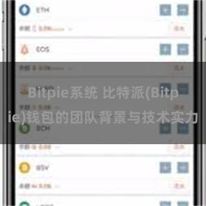 Bitpie系统 比特派(Bitpie)钱包的团队背景与技术实力