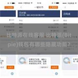 比特派在线客服 比特派(Bitpie)钱包有哪些隐藏功能？