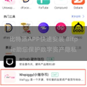 比特派APP快速安装 Bitpie助您保护数字资产隐私