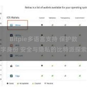 Bitpie多语言支持 保护数字身份 安全与隐私的比特派探索