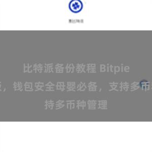 比特派备份教程 Bitpie免费版，钱包安全母婴必备，支持多币种管理