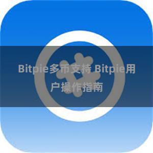 Bitpie多币支持 Bitpie用户操作指南