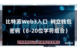 比特派Web3入口  树立钱包密码（8-20位字符组合）