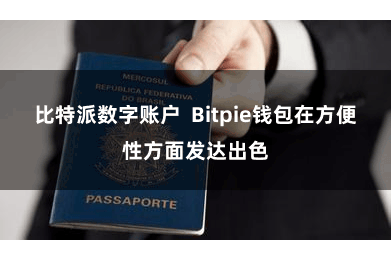比特派数字账户  Bitpie钱包在方便性方面发达出色