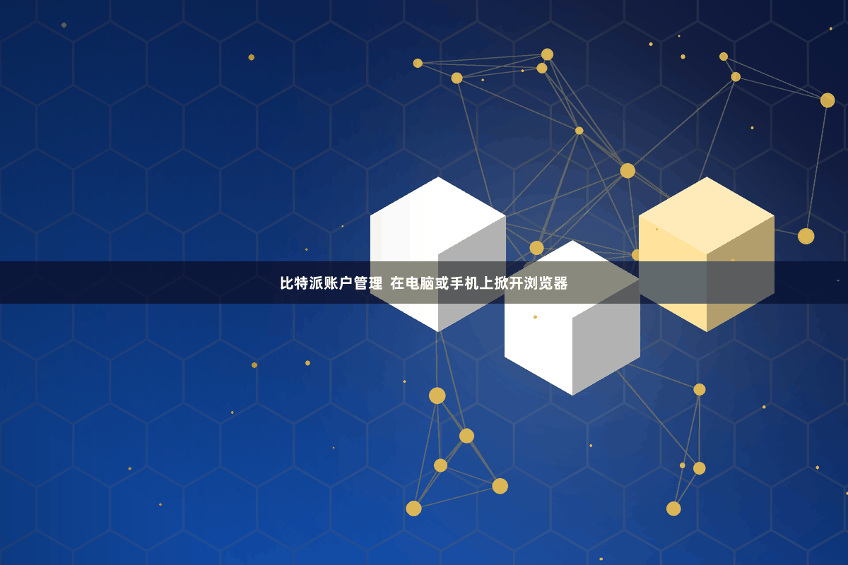 比特派账户管理  在电脑或手机上掀开浏览器